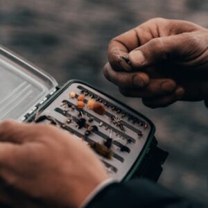 Premium Live Fishing Worms