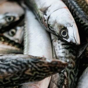 Fishing Tips Guidebook