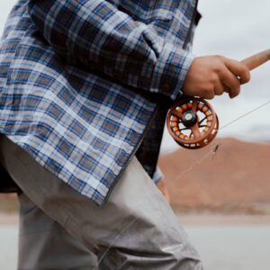 Worm Types Identification Chart