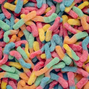 Fishing Accessories Starter Kit