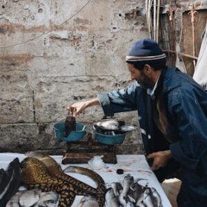 Live Bait Storage Container